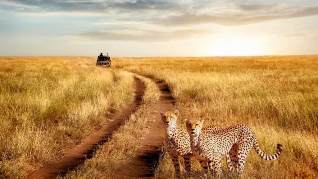 Best-Time-to-Visit-Tanzania-1200x675