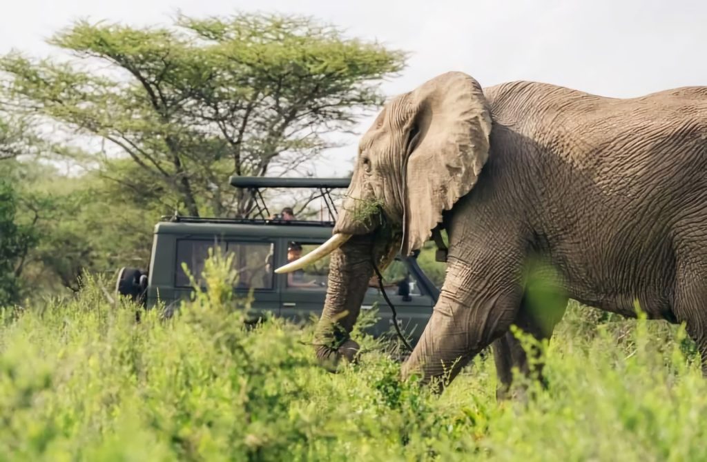 reasons_why_you_should_visit_tanzania._1723642777
